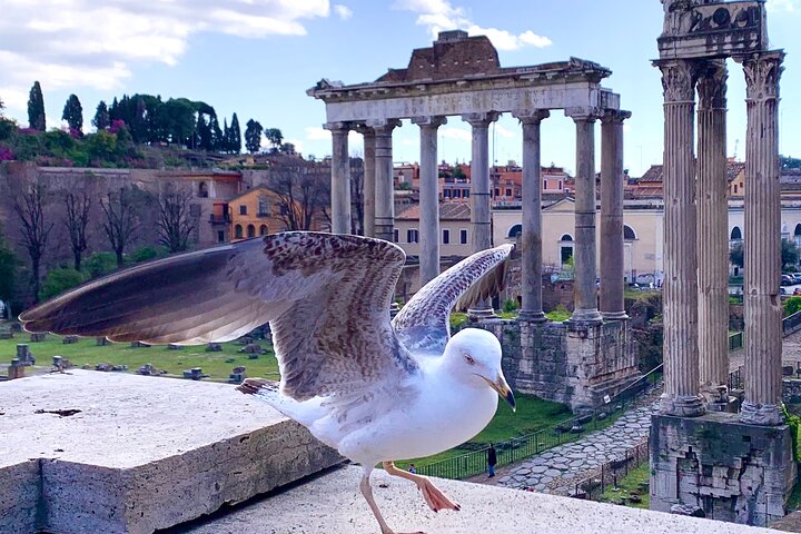Rome: Private Tour with Guide