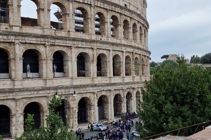 Colosseum, Roman Forum and Palatine Hill Private Tour