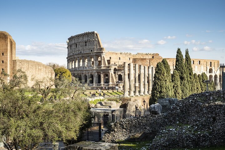 Colosseum Guided Tour Forum and Palatine Hill Access
