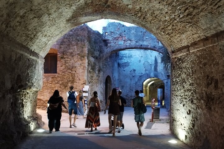ROME: colosseum gladiator arena ,forum& palatine guided tour