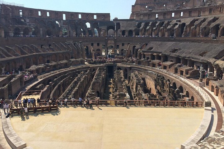 Guided Tour of the Colosseum with Access to the Arena, Roman Forum and Palatine Hill